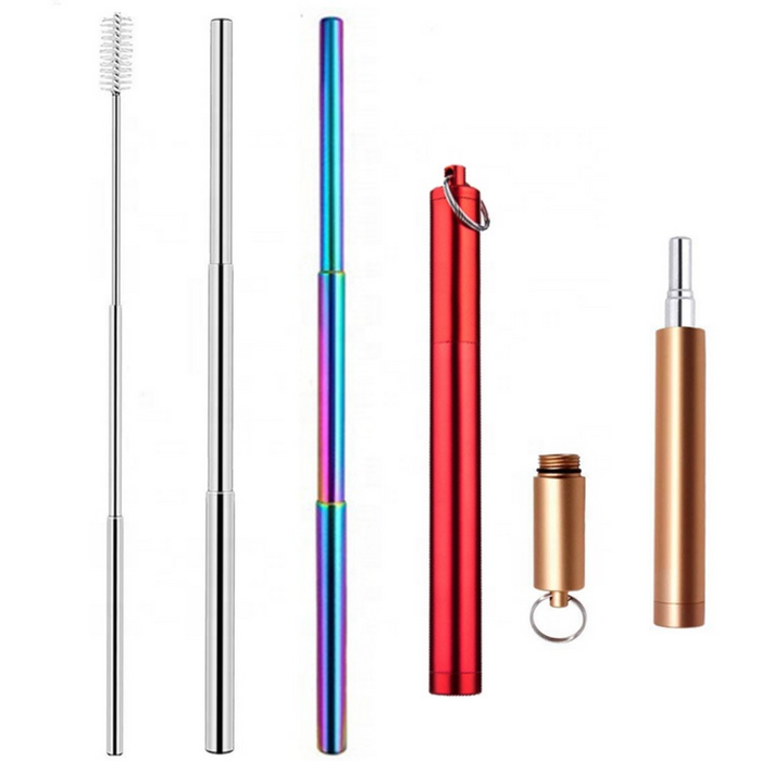 Foldable Stainless Steel Straws + Case