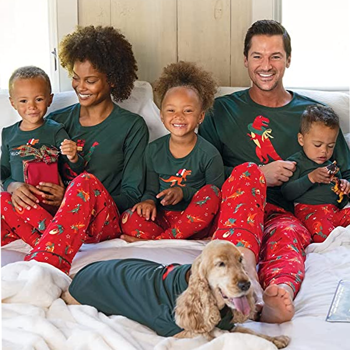 Family Christmas Dino Matching Set - Grafton Collection