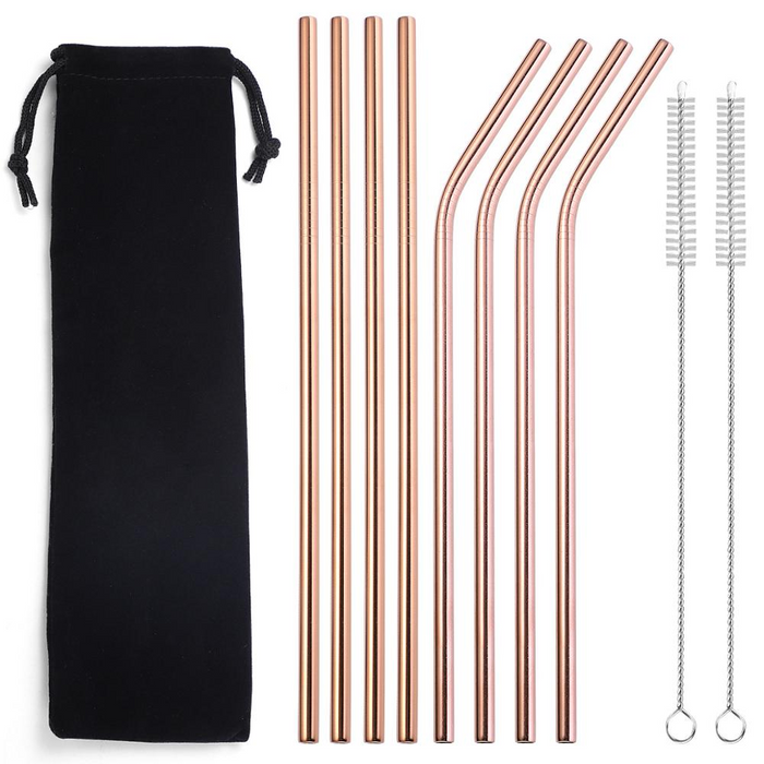 Reusable Metal Straws + Case