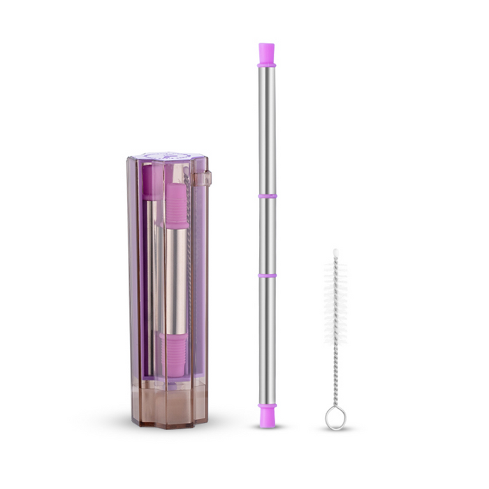 Stainless Steel Collapsible Straw + Case - Grafton Collection