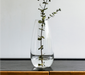 3 Piece Glass Vase Set - Grafton Collection