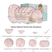 Japanese Cherry Blossom Ceramic Dinnerware - Grafton Collection