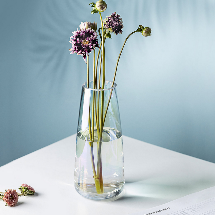 Glass Vases - Grafton Collection